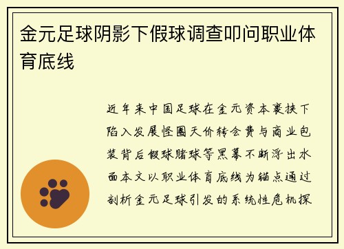 金元足球阴影下假球调查叩问职业体育底线