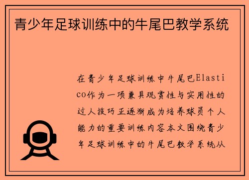 青少年足球训练中的牛尾巴教学系统